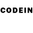 COCAIN FishScale VIAJANTE RODOVIARIO