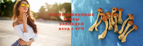 Альфа ПВП Алзамай