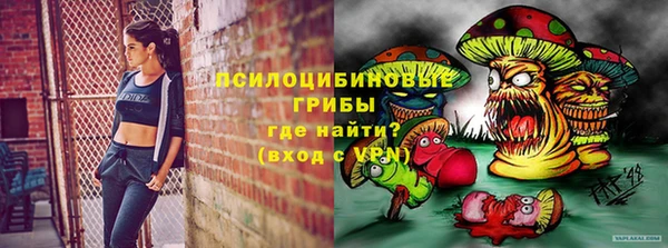 Альфа ПВП Алзамай
